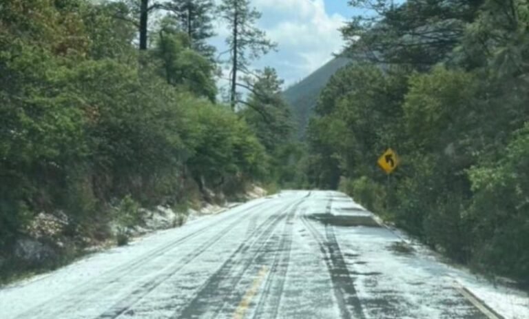 Beneficia lluvia y granizo al bosque