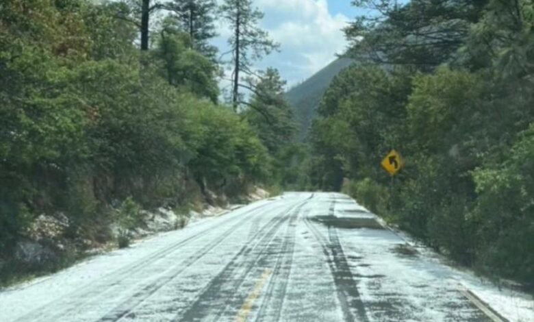 Beneficia lluvia y granizo al bosque